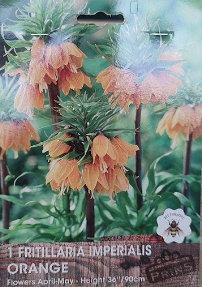 FRITILLARIA