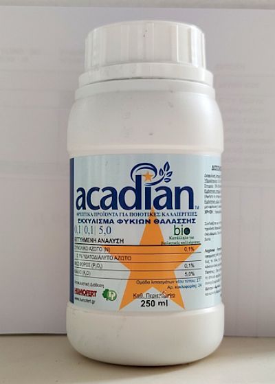 ACADIAN 