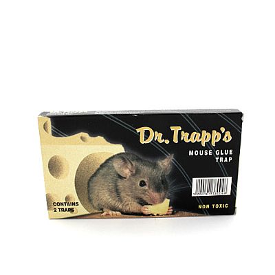DR. TRAPP'S MOUSE TRAP WITH ADHESIVE SMALL SIZE